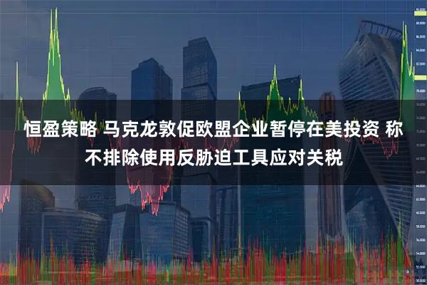 恒盈策略 马克龙敦促欧盟企业暂停在美投资 称不排除使用反胁迫工具应对关税