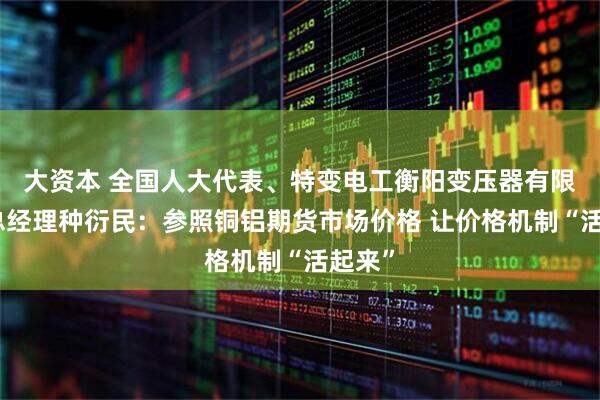 大资本 全国人大代表、特变电工衡阳变压器有限公司总经理种衍民：参照铜铝期货市场价格 让价格机制“活起来”