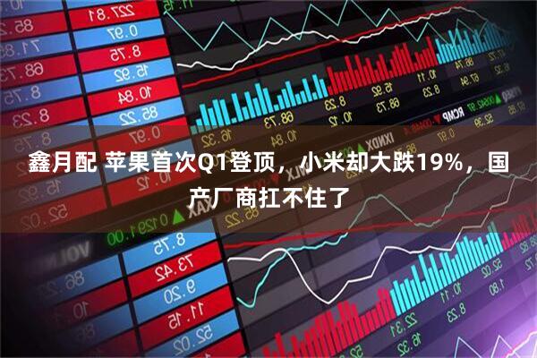 鑫月配 苹果首次Q1登顶，小米却大跌19%，国产厂商扛不住了