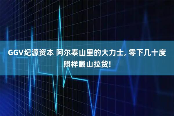 GGV纪源资本 阿尔泰山里的大力士, 零下几十度照样翻山拉货!